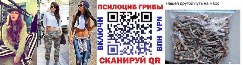 купить закладку  Суоярви  Псилоцибиновые грибы Psilocybe 
